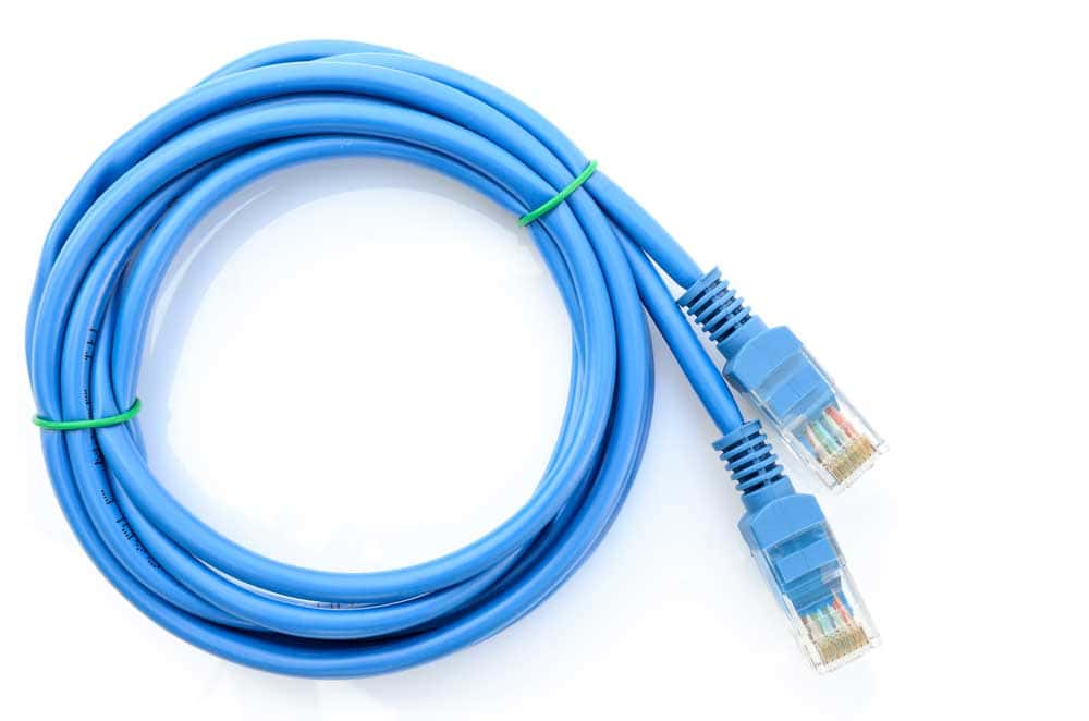 LAN blue Ethernet cable on a white background