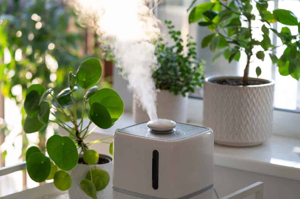 A humidifier increases humidity in a room